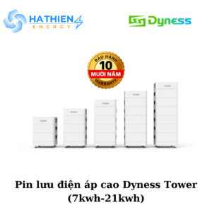 Dyness Tower