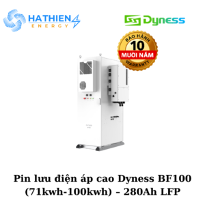 Dyness BF100