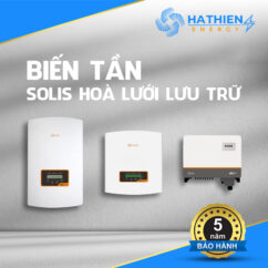 Solis Hoà Lưới Lưu Trữ