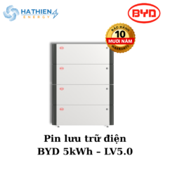 BYD Battery